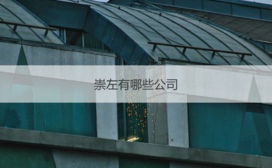 崇左4500元月薪水平分析 聚焦薪資現狀與國營貿易管理貨物進出口行業